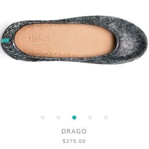 Tieks Drago Flats in Gray